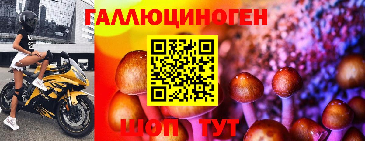 Галлюциногенные грибы Psilocybine cubensis  Вход с VPN  даркнет сайт  Киров  Галлюциногенные грибы Magic Shrooms 