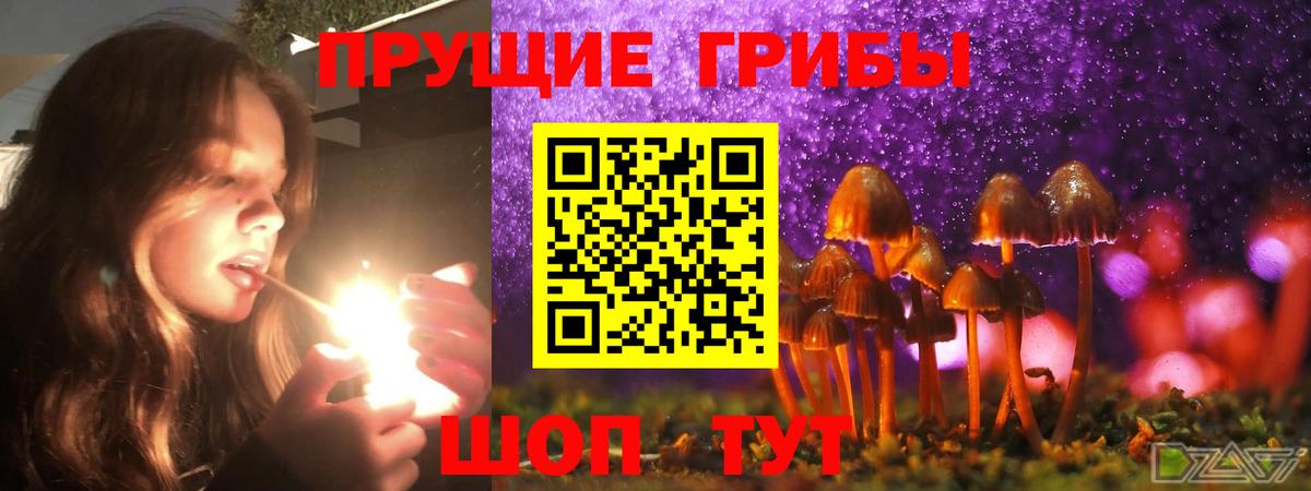Галлюциногенные грибы GOLDEN TEACHER Киров